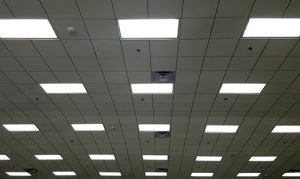 View of energy efficient lighting in an office setting.