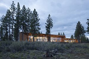 a building nestled into the trees the windows are glowing with warm light