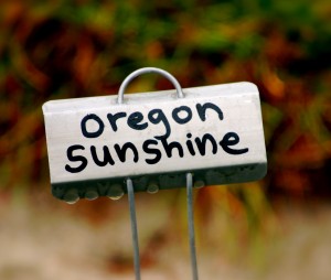 a little metal sign reading oregon sunshine